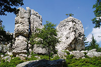 Bild vergrößert sich per Mausklick: Großer Pfahl Viechtach